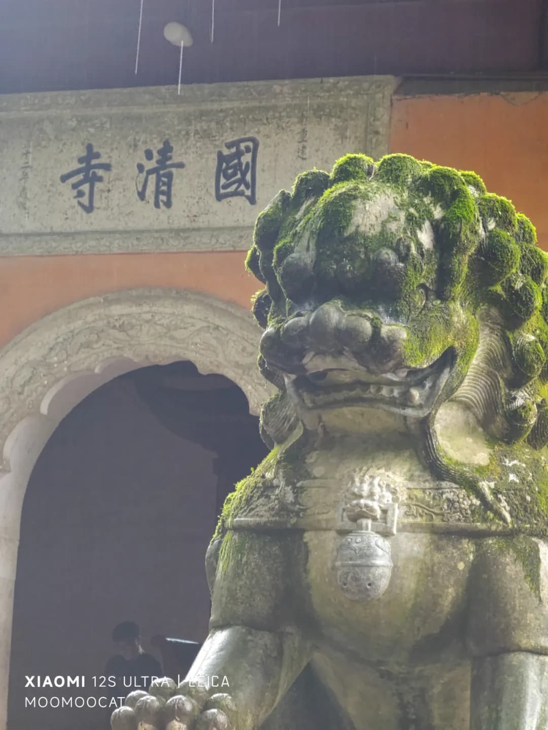 堪称镇寺之宝之一，门口汉白玉雕刻的狮子