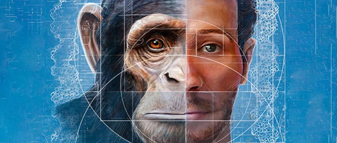 241222 耍猴