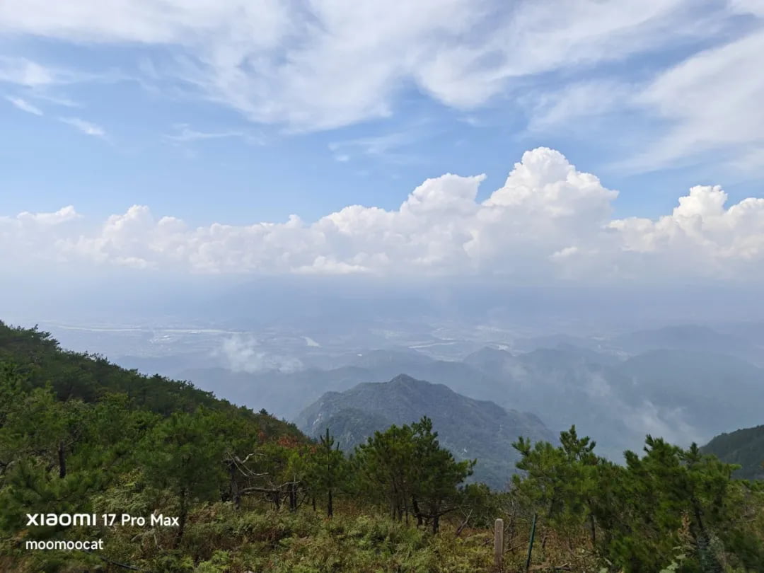 括苍山顶海拔接近1400米，是浙东南第一高峰